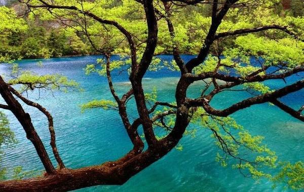 等你，在最美的风景里