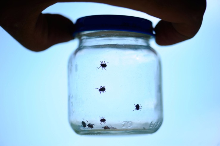 美国空军启动漏洞报告项目，邀请外部黑客参与