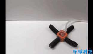 世界首个软体机器人面世！可驾驭复杂地形 体态萌翻