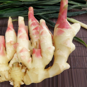 新鲜嫩姜怎么腌制好吃