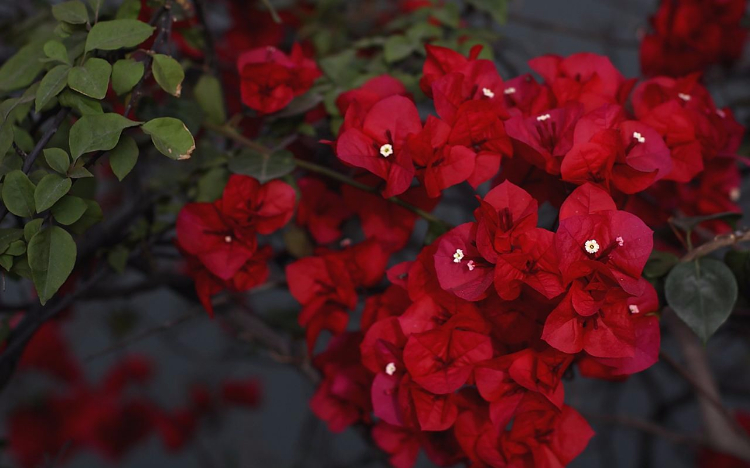 使自己强大的五种方法