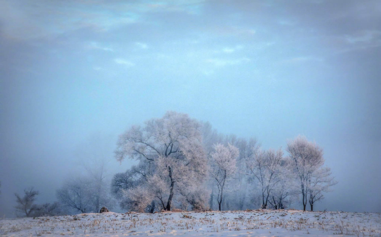 雾凇岛唯美雪景
