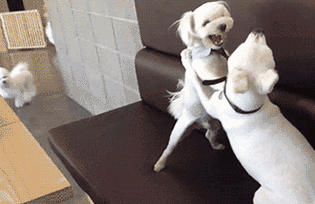 想起夕阳下那奔跑 那是我逝去的青春