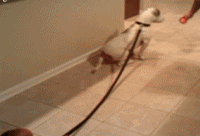 富人靠科技，穷人靠自己