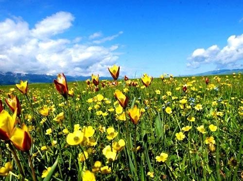 5月，这里是你最不应该错过的地方