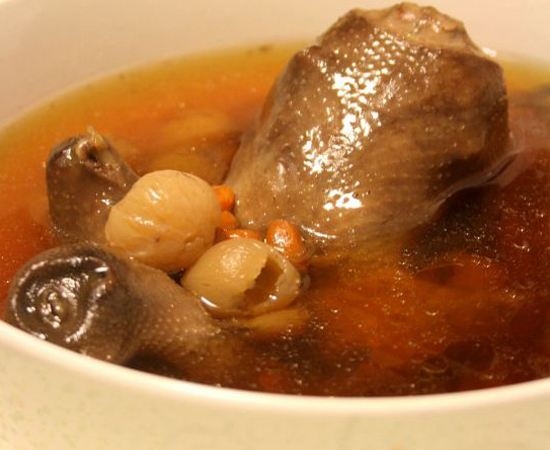 鸽子的营养价值