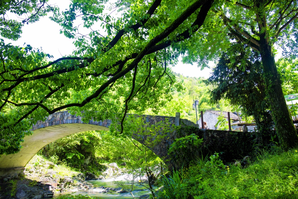 成龙为什么要捐赠古建筑，去了严家古村就明白了