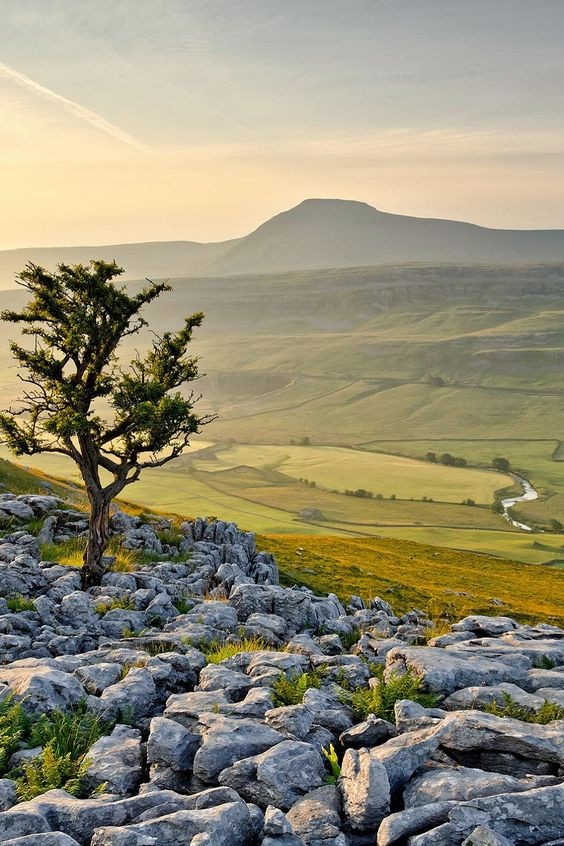 利益面前平常心