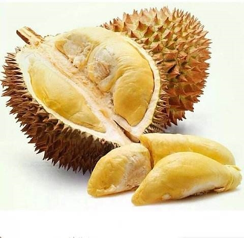 榴莲的营养价值