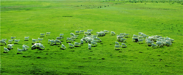 王昭君，在巴彦淖尔弹唱平沙落雁曲