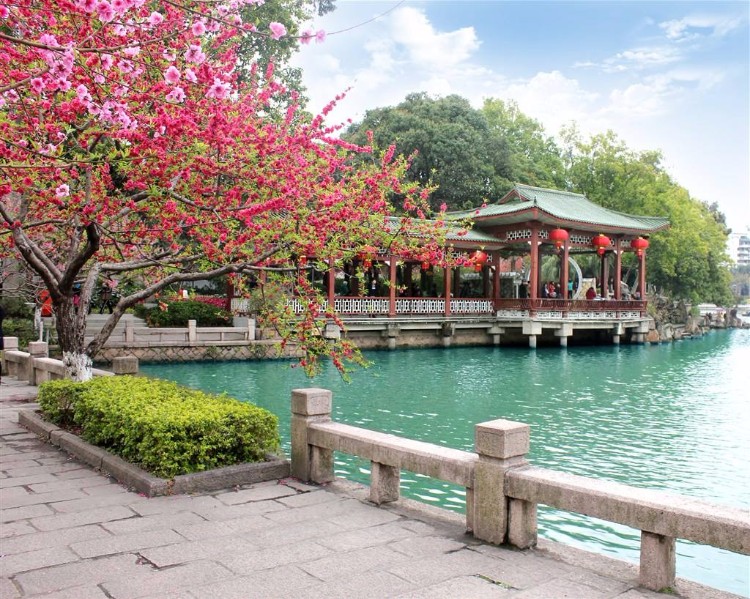 全国旅游时间表，太实用了！（值得收藏）