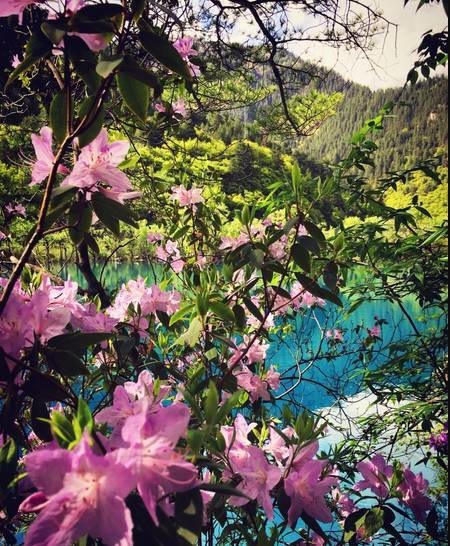 等你，在最美的风景里