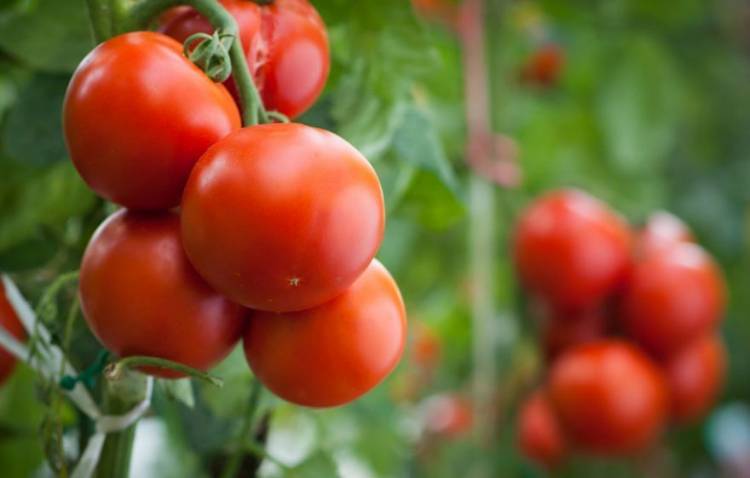 水果蔬菜保存方法