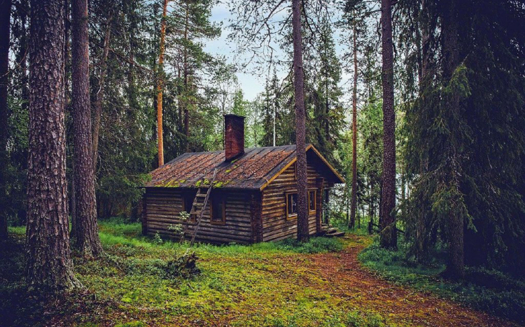 林间小屋唯美自然风景