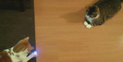 二师兄，我把你当兄弟，你居然想....