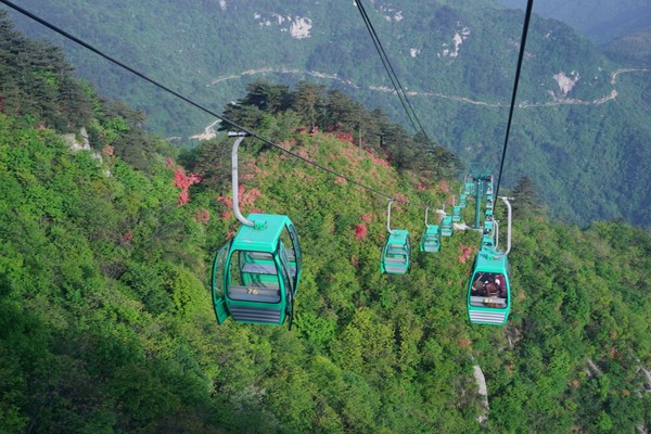 世界级万亩花海竟在南京附近，美成仙境！高铁2小时就到！