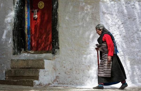 为什么藏族同胞不容易高反？ 