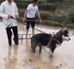 偶像剧都流行这么装逼了？