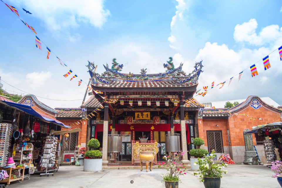 几万条毒蛇在城市寺庙中 百年来从不伤人