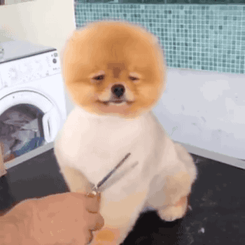 惊不惊喜？刺不刺激？哈哈哈让我措不及防的笑。