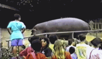 惊不惊喜？刺不刺激？哈哈哈让我措不及防的笑。