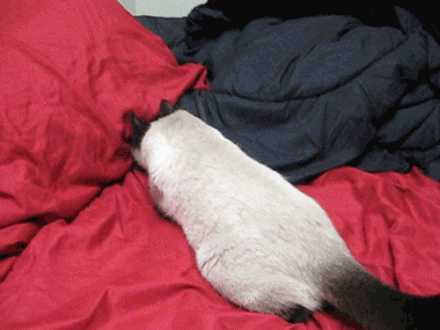 你吓到主子了，后果不堪设想