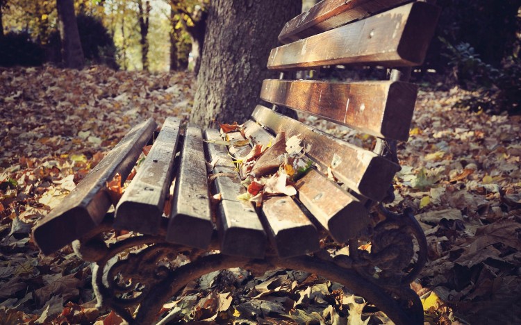 执一颗平常心，过平淡的日子