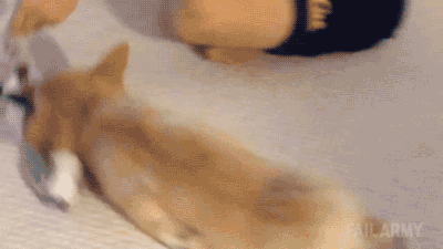 土豪我们交个朋友吗