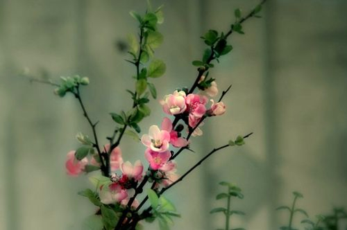 当你真的喜欢一个人的时候