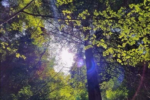 等你，在最美的风景里