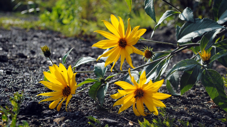 九句很现实的句子，句句写进心坎