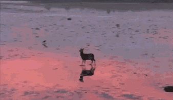 想起夕阳下那奔跑 那是我逝去的青春