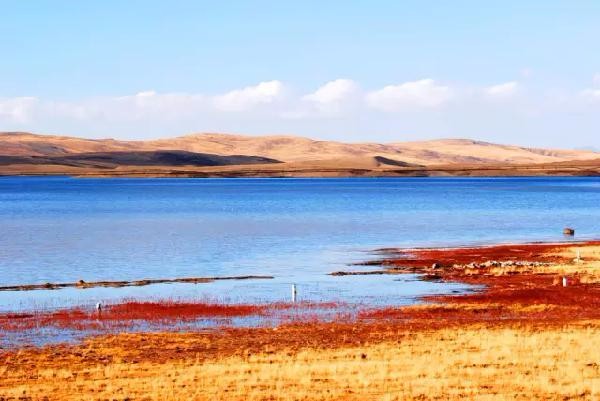 没见过的黄河全貌，简直美翻了！所有人都值得一看