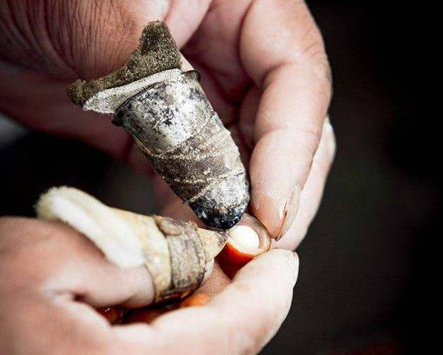 这种米却被称为女人的“不老米”，男人的“长寿米”！