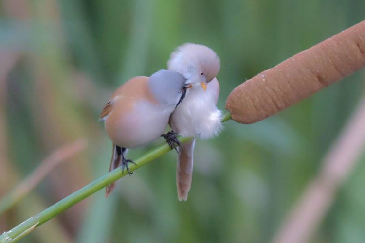 对外很强势,对家人却很温柔的3个星座 对外很强势,对家人却很温柔的3个星座