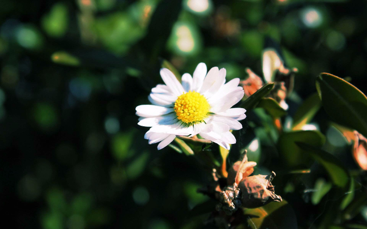 当你不想努力时，去趟医院就好了