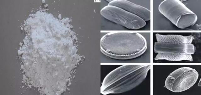 硅藻泥能够除甲醛？别傻了，只能吸附，不能分解！