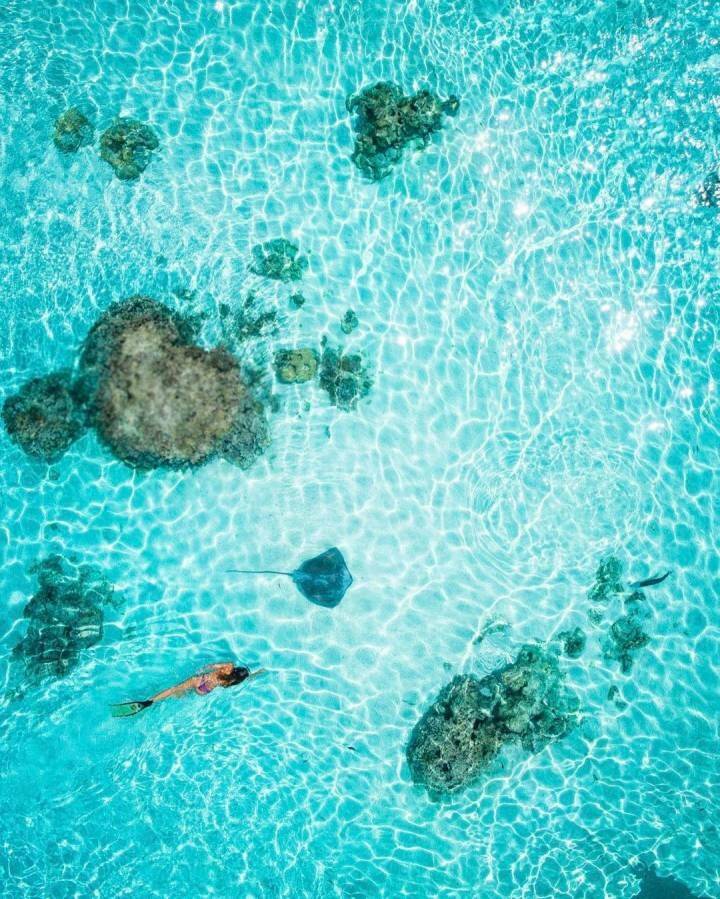 夏天到了，我和海边有个约会～via摄影师salty wing