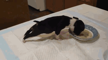 一张图告诉你，什么是好吃到飞起来