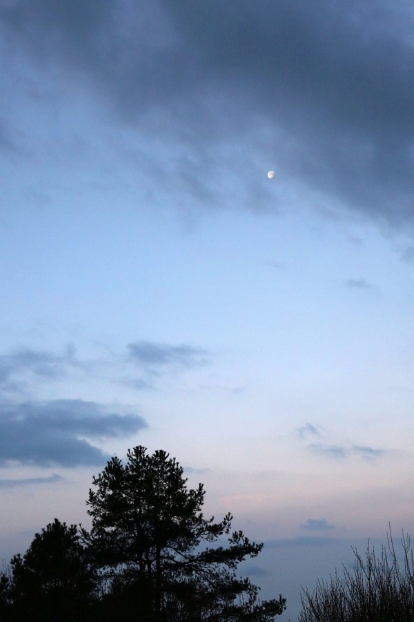 台湾：阿里山之云兴霞蔚与耀眼日出