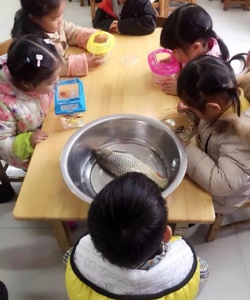 自动刹车系统测试，就喜欢这种自信