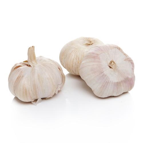 蒜头发芽能吃吗