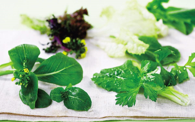 睡不醒？吃对“红绿”解秋乏