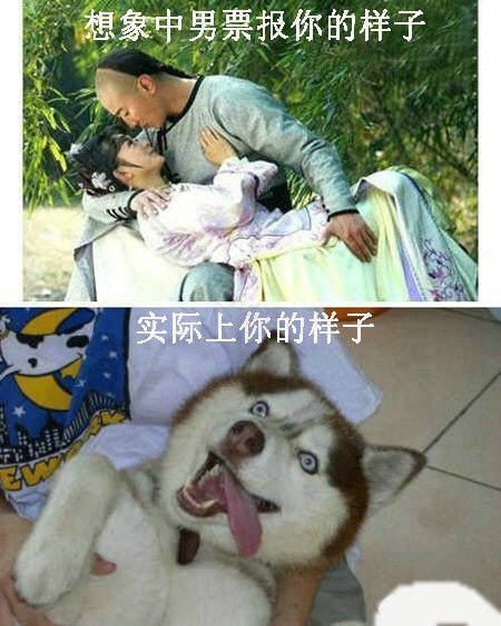 现实总是给你致命一击，哈哈哈简直太形象了！！