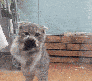 高手之间的对决 看谁的嘴硬