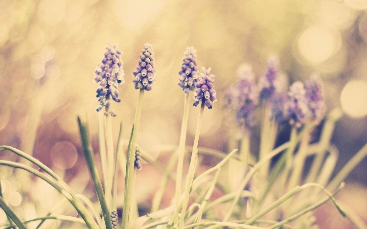 有些路，只能一个人走