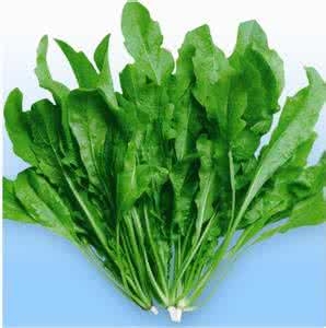 荠菜怎么做好吃