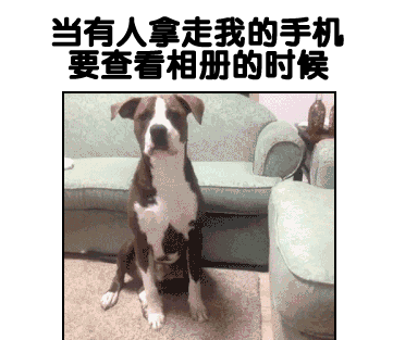 那些神一样的配文，卧槽，简直太形象了！毫无违和！！