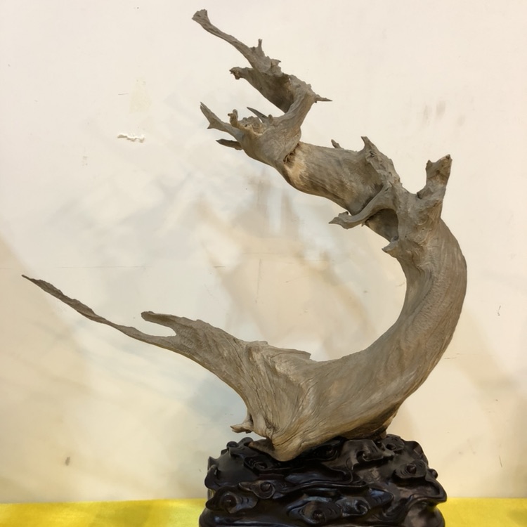 山西赛宝会 I 精品抢先看