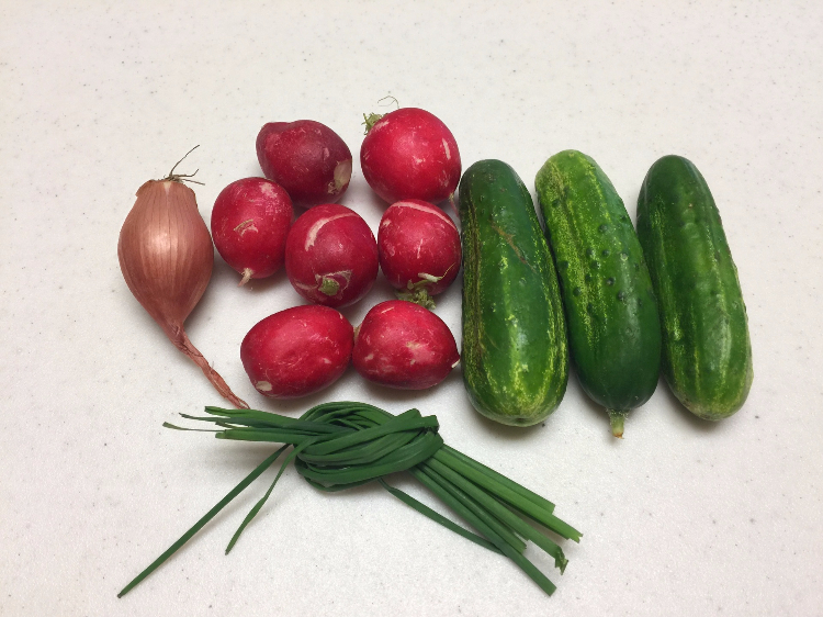 夏季清凉的红萝卜青瓜沙拉